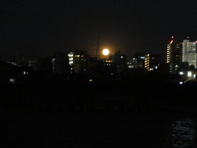 DSC00499.JPG