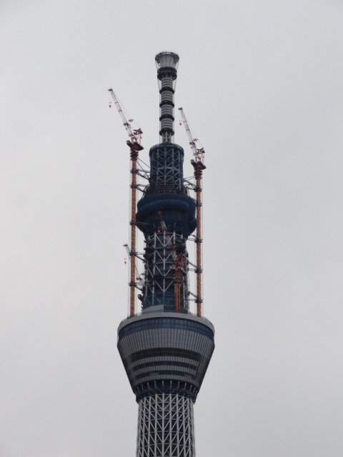 DSC00580.JPG