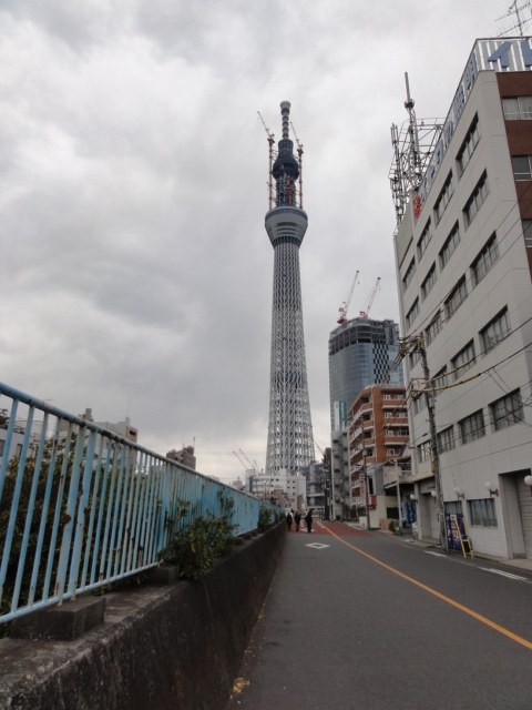 DSC00600.JPG