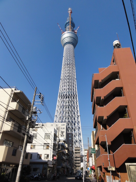 DSC00617.JPG