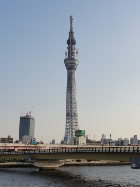 DSC00699.JPG