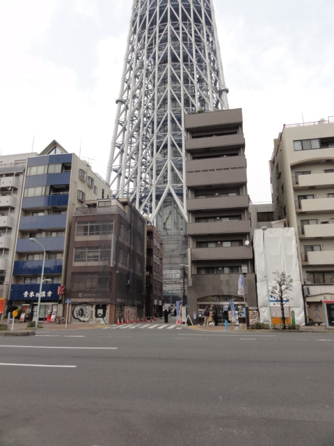 DSC01525.JPG