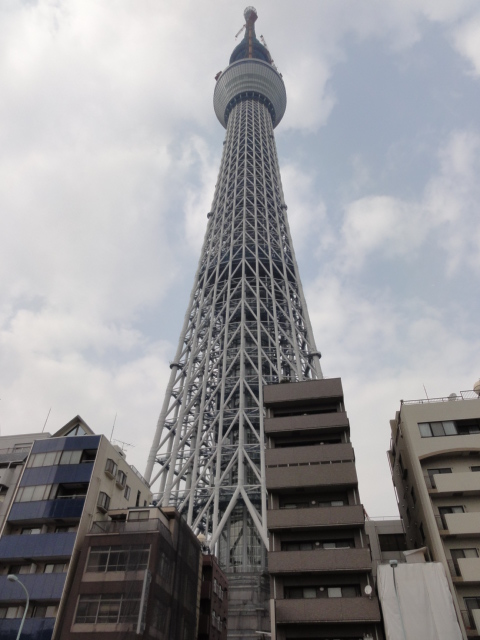 DSC01529.JPG
