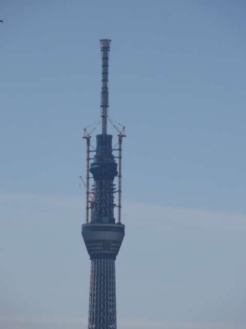 DSC01618.JPG