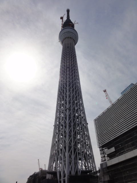 DSC02799.JPG