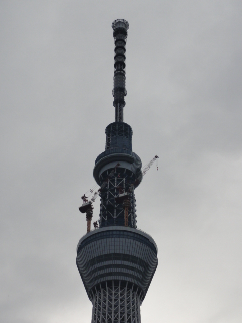 DSC03511.JPG