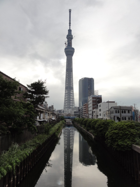 DSC03513.JPG