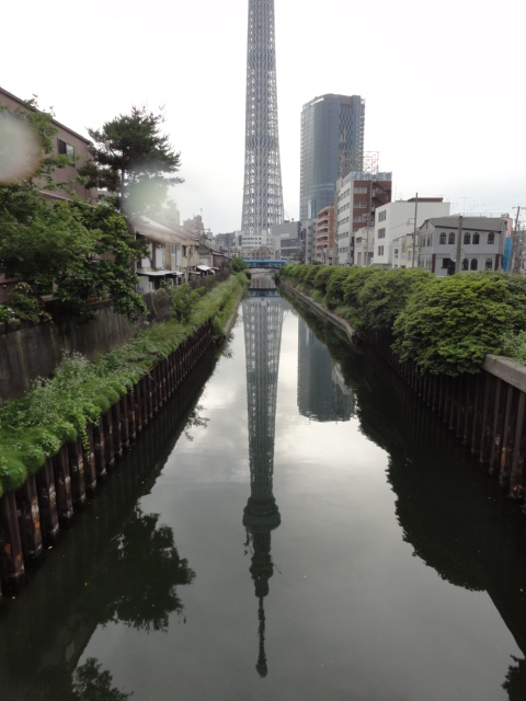 DSC03515.JPG