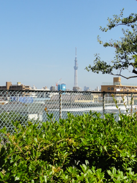 DSC03741.JPG