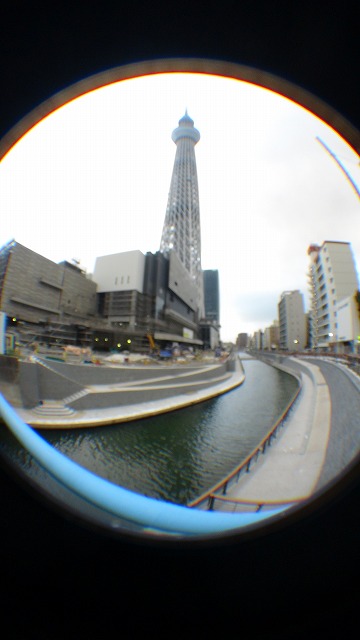 DSC00205.jpg