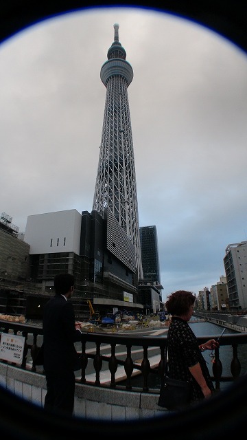 DSC00208.jpg