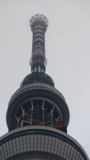 DSC00218.jpg
