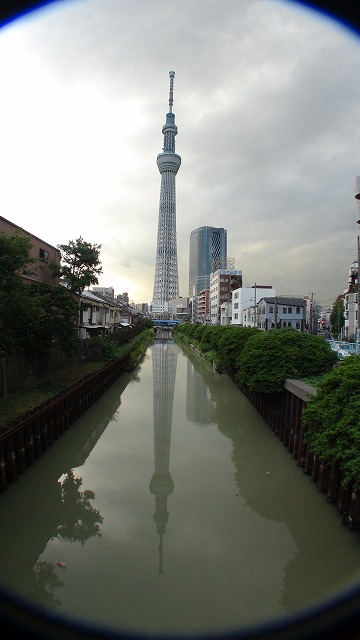 DSC00035.jpg