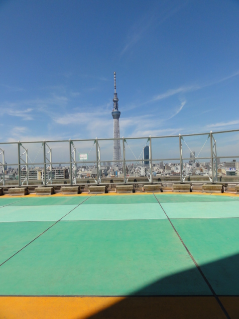 DSC05482.JPG