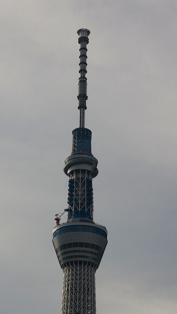 DSC00805.jpg