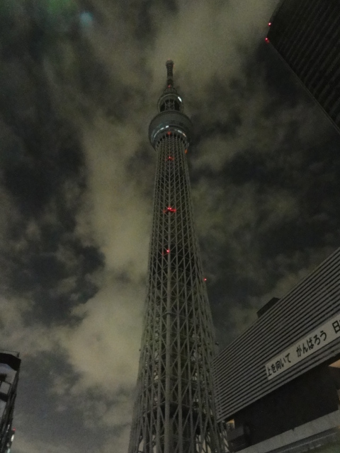 DSC06460.JPG