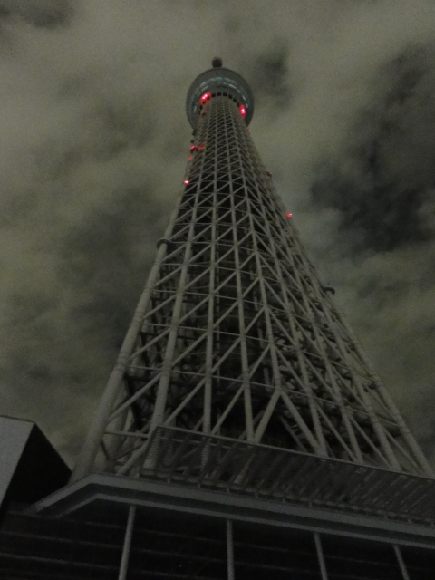 DSC06489.JPG