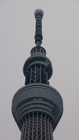 DSC01154.jpg