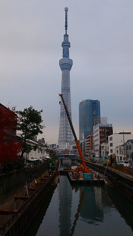 DSC01163.jpg