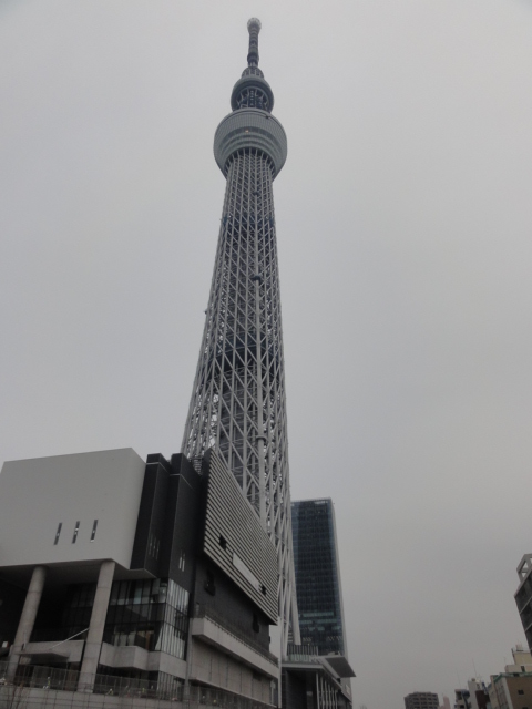 DSC07107.JPG