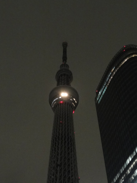 DSC07155.JPG