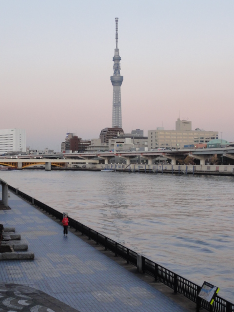 DSC07172.JPG