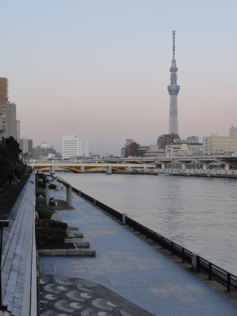 DSC07175.JPG