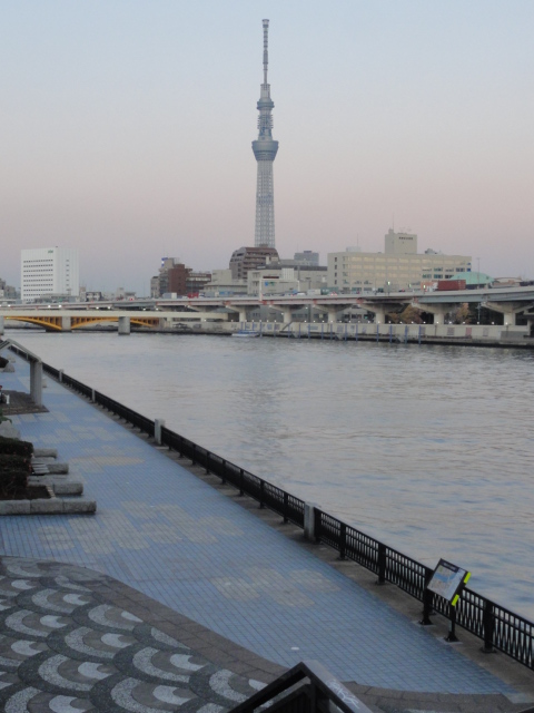 DSC07177.JPG