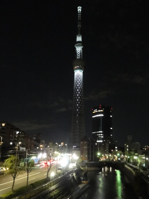 DSC07494.JPG