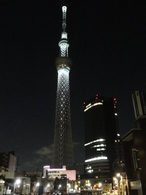 DSC07505.JPG