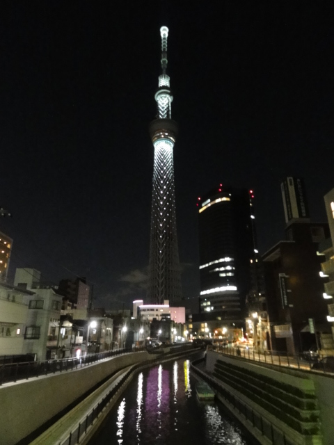 DSC07506.JPG