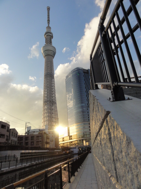 DSC08113.JPG
