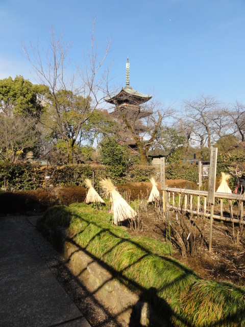 DSC08403.JPG