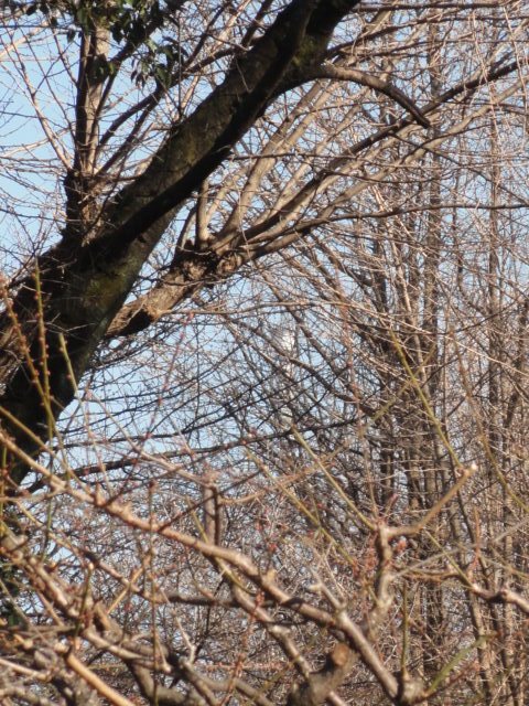DSC08419.JPG
