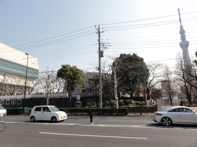 DSC08504.JPG
