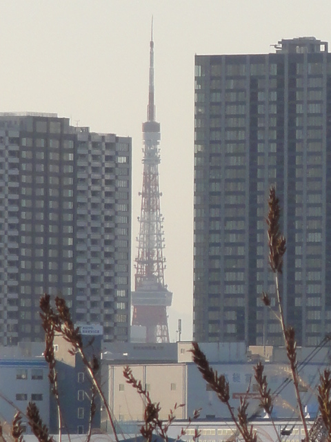 DSC08555.JPG
