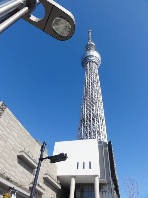 DSC08660.JPG