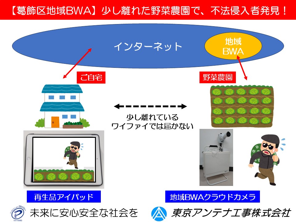【葛飾区地域BWA】少し離れた野菜農園で、不法侵入者発見！東京アンテナクラウドカメラ